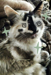 Feline Dines [STAFF]