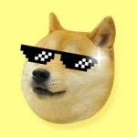 Doge time!!!