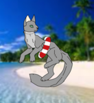 The Coastline Felines [WC:UE]