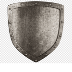 TeamShieldTR