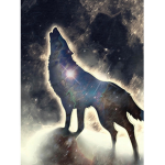 Pack wild wolves