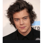 The Harry styles