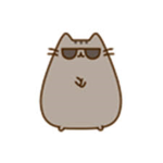 +.Pusheen Club!.+