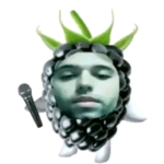 spongee clan