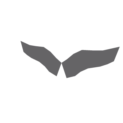 Angel Wings T3