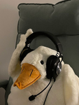 Gud Good Duck