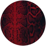 Snake Skin 9