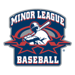 Minor League Baseball | Bronze