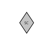 [S.A.F] Security Detail Formation