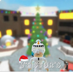 VT Stor's
