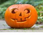 Mr. Pumpkins Group Club
