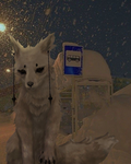 -Misty's Foxes-