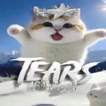メTears