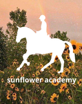 .+| SUNFLOWER ACADEMY |+.