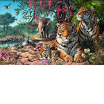 Animals Shop