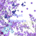 Yeet walnuts