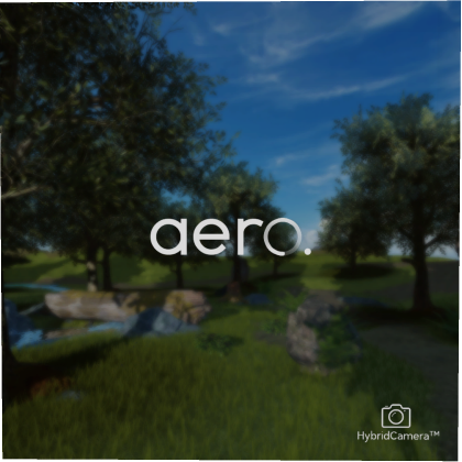 aero. (Blurred loading screen with Cutscene.)