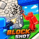 BLOCKSHOT