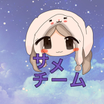 サメチーム