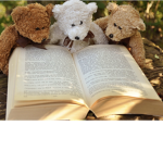 #Team Teddy