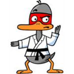 The Ninja Ducks