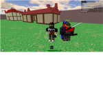 Ninja Sucesses
