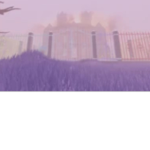 VOID-KIN GUIDES