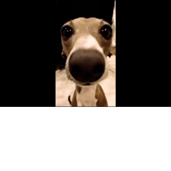 Pizza Hut Simulator [Update]