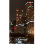 Lily’s official bear squad