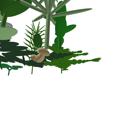 Roots