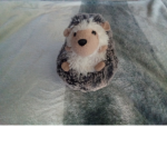 Hedgehogs Spike Warriors