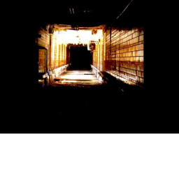 The Backrooms