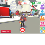 Teddy quad
