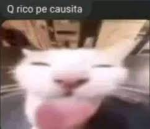 Los flipantes y mogollones amigos de fiago