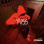 YVSS