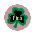 Finn's Group