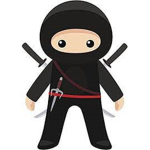 The little ninjas