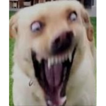1ts R4nd0m