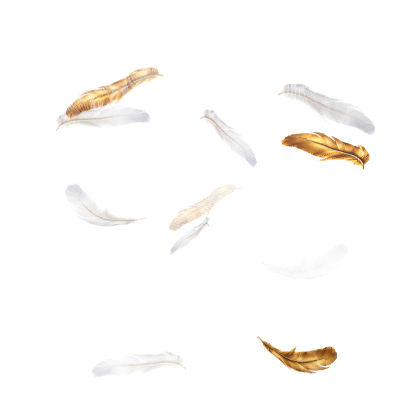 [Animated] White Golden Angel Feathers