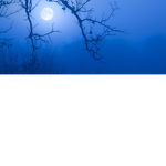 Blue Moons.