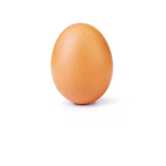 PETITE ŒUF