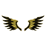 Dark Angel Wings