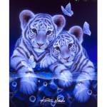 Animal Funtime