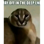 Slow Loris Fan Group