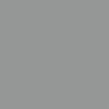 Web Site