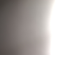 njcsgugdc