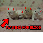 cats are eviI