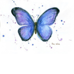 Zephanie’s_butterfly’s