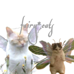 fairy*cats