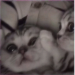 Alexsandra UwU